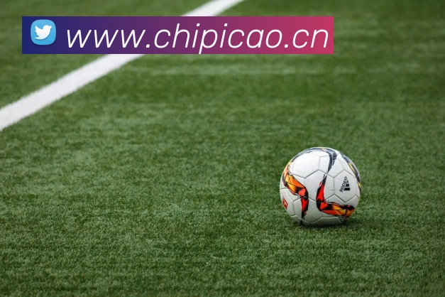 星空体育中国官方网站APP 封面图